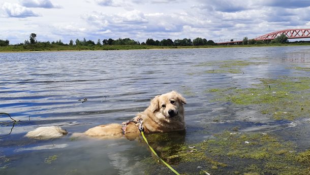 Patiënt van de maand Juli